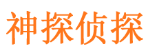 元坝外遇出轨调查取证